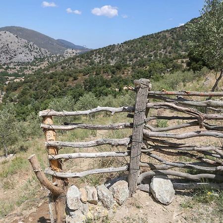 Les Bergeries "Le Figuier" Omessa Exterior foto