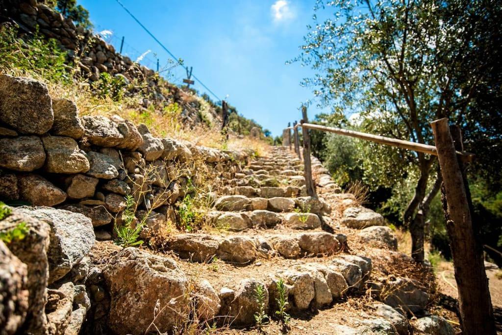 Les Bergeries "Le Figuier" Omessa Exterior foto