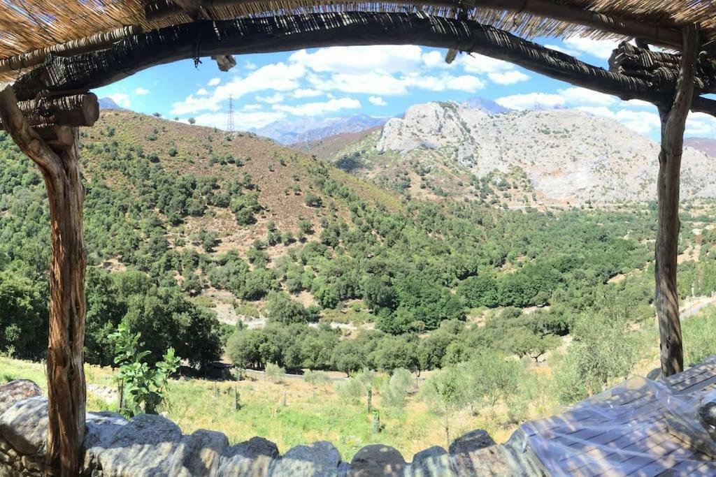 Les Bergeries "Le Figuier" Omessa Exterior foto