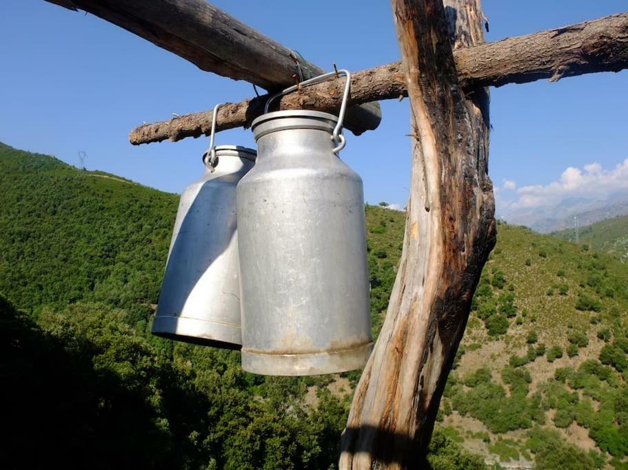 Les Bergeries "Le Figuier" Omessa Exterior foto