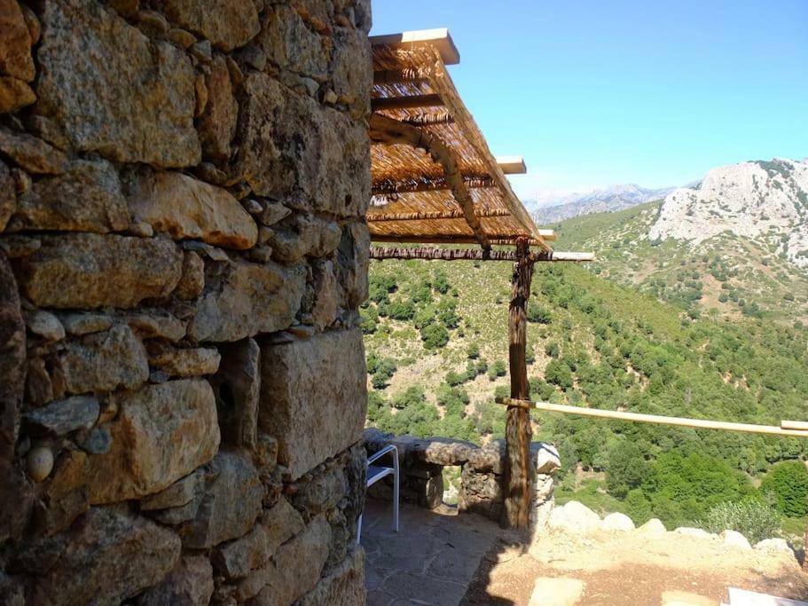 Les Bergeries "Le Figuier" Omessa Exterior foto