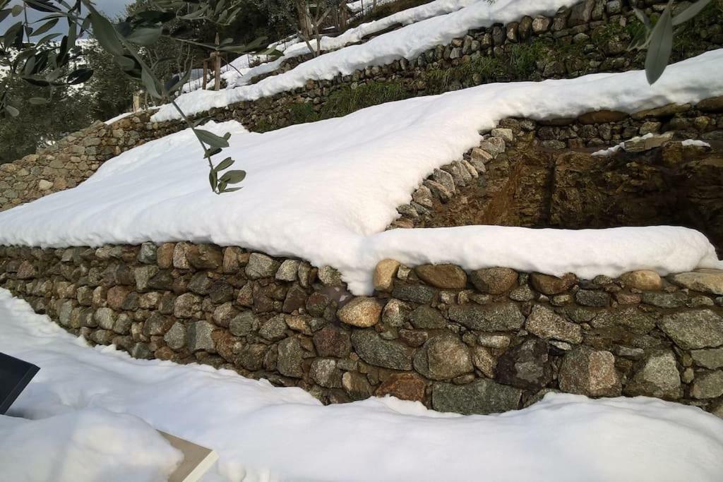 Les Bergeries "Le Figuier" Omessa Exterior foto