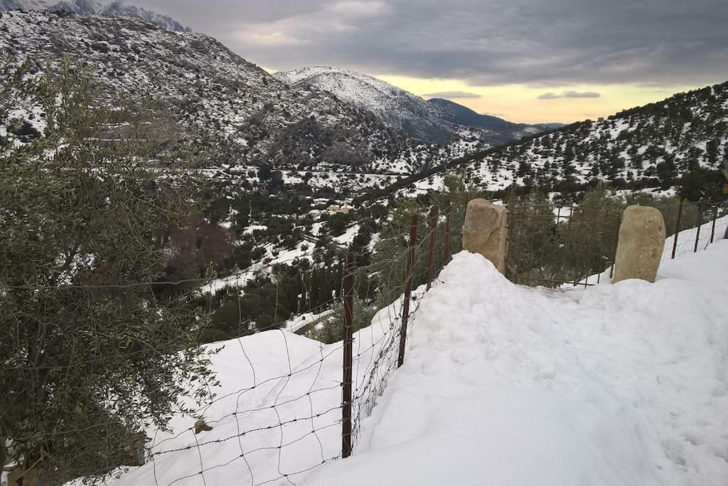Les Bergeries "Le Figuier" Omessa Exterior foto
