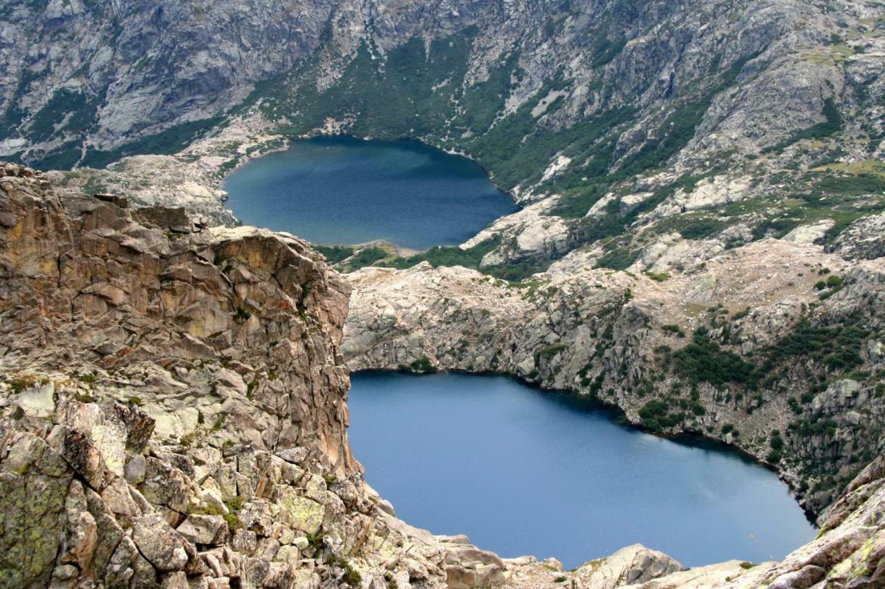 Les Bergeries "Le Figuier" Omessa Exterior foto
