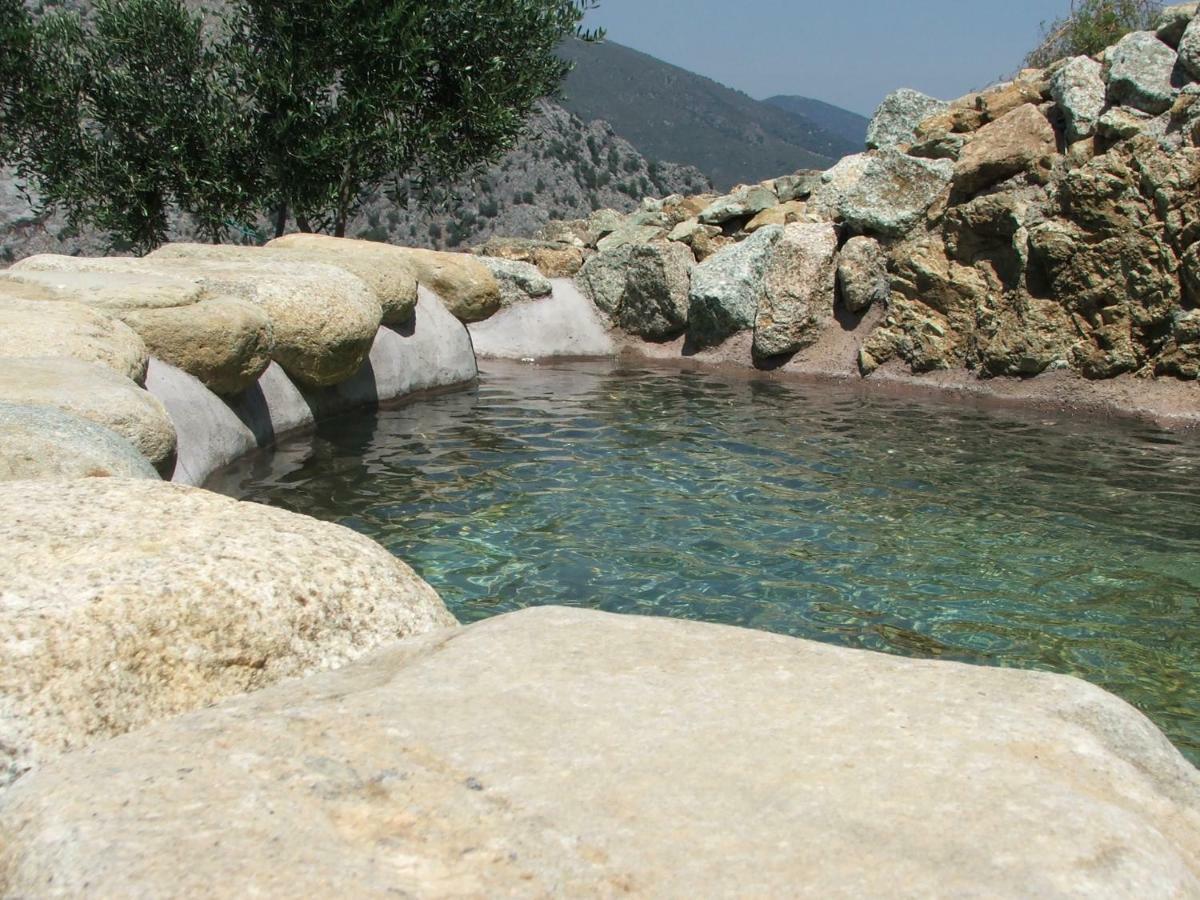 Les Bergeries "Le Figuier" Omessa Exterior foto