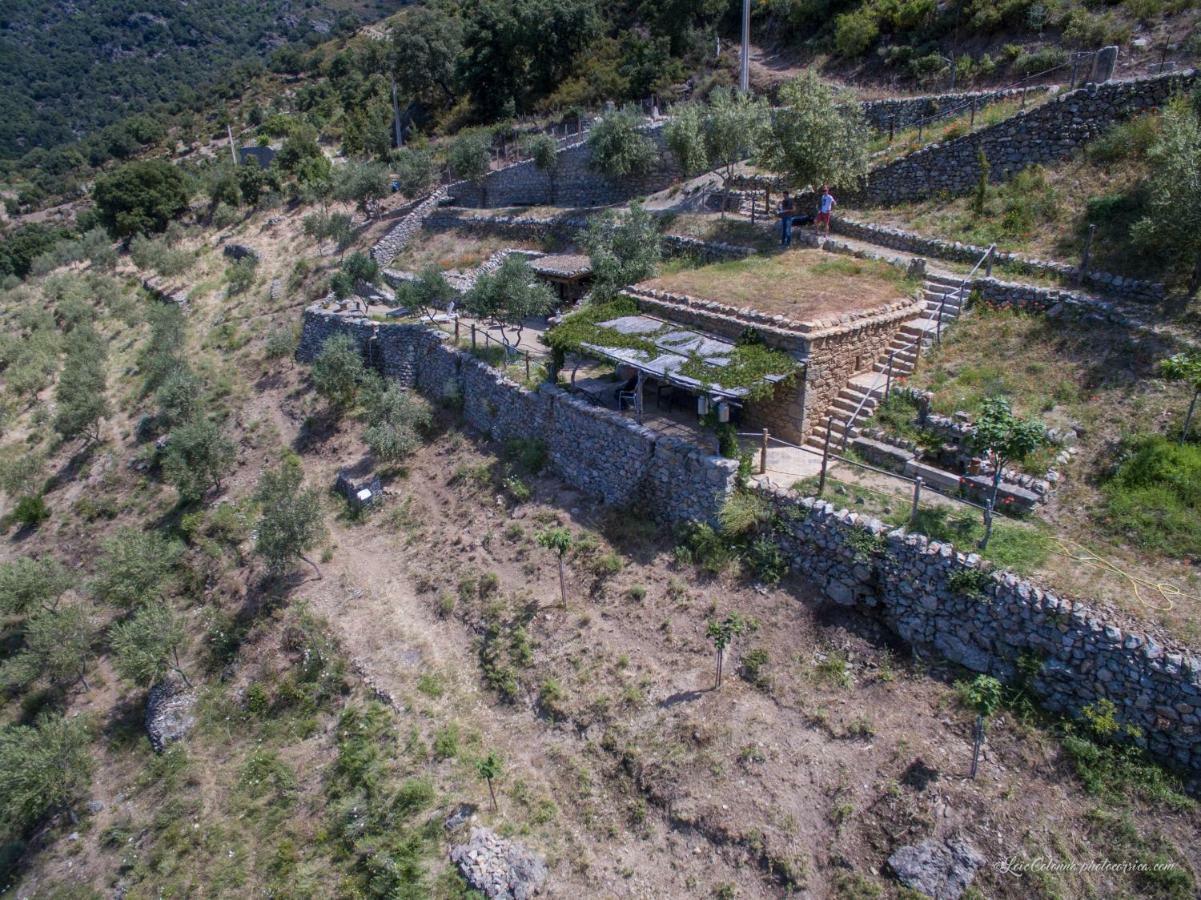 Les Bergeries "Le Figuier" Omessa Exterior foto