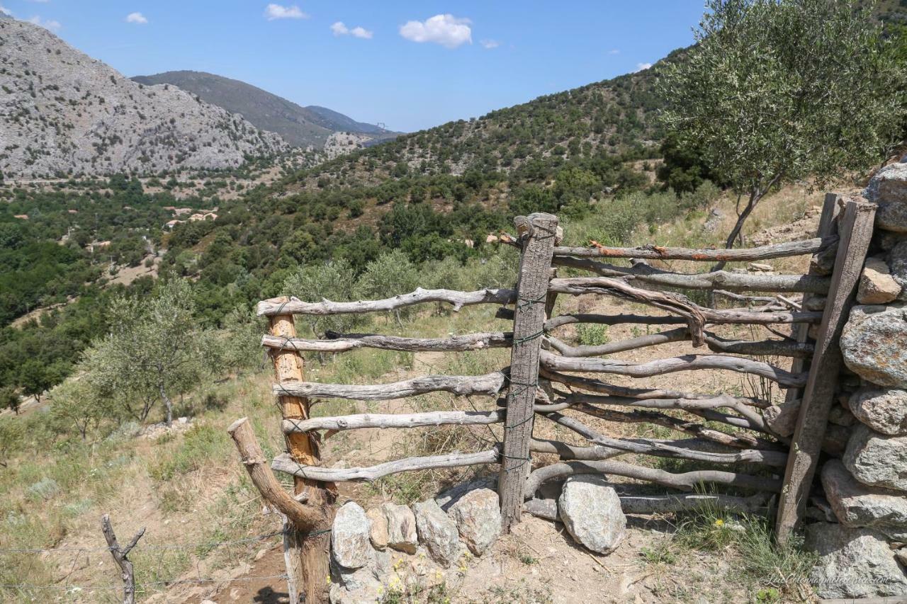Les Bergeries "Le Figuier" Omessa Exterior foto