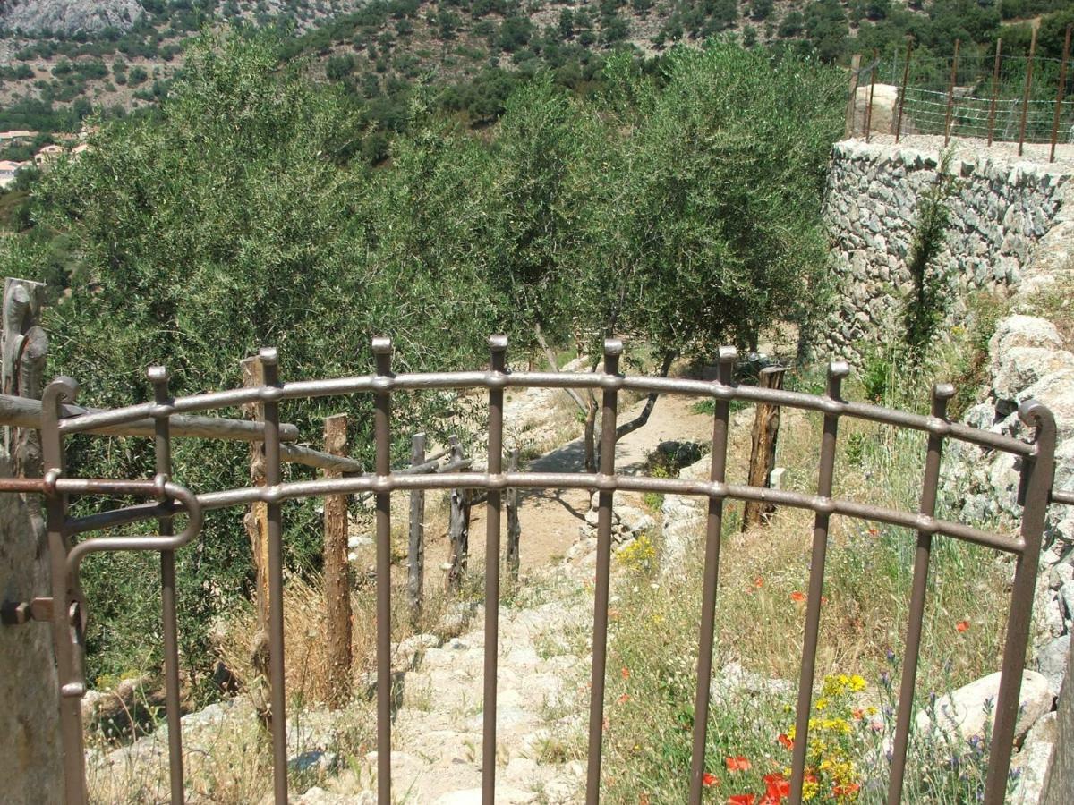 Les Bergeries "Le Figuier" Omessa Exterior foto