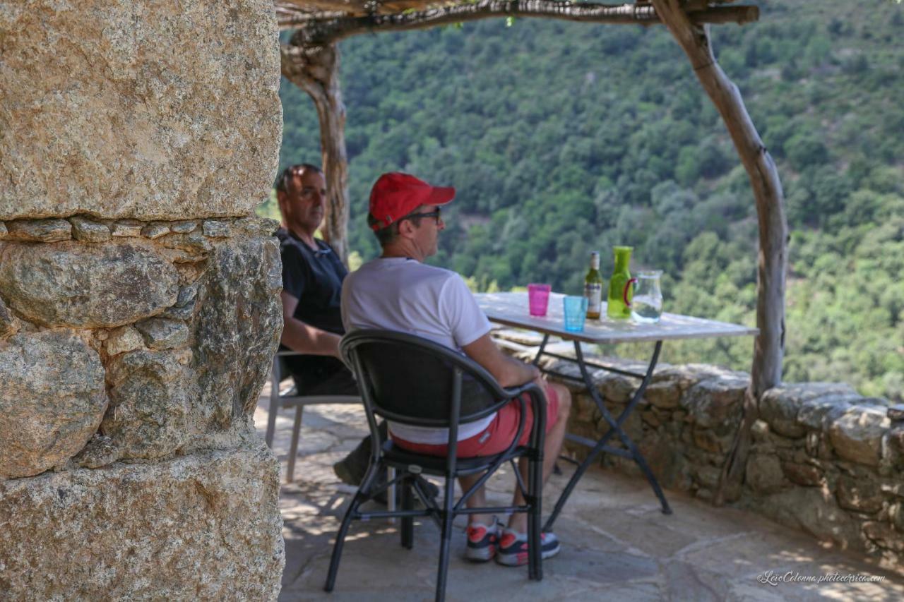 Les Bergeries "Le Figuier" Omessa Exterior foto