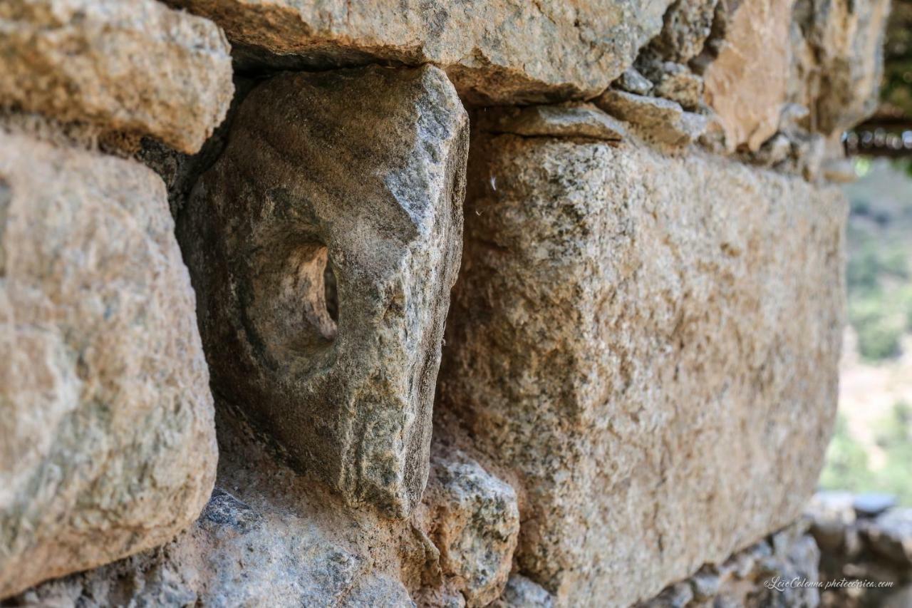 Les Bergeries "Le Figuier" Omessa Exterior foto
