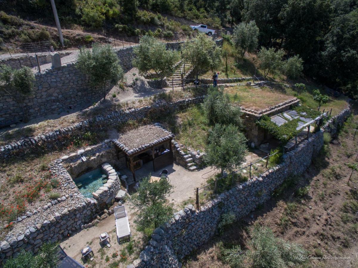 Les Bergeries "Le Figuier" Omessa Exterior foto