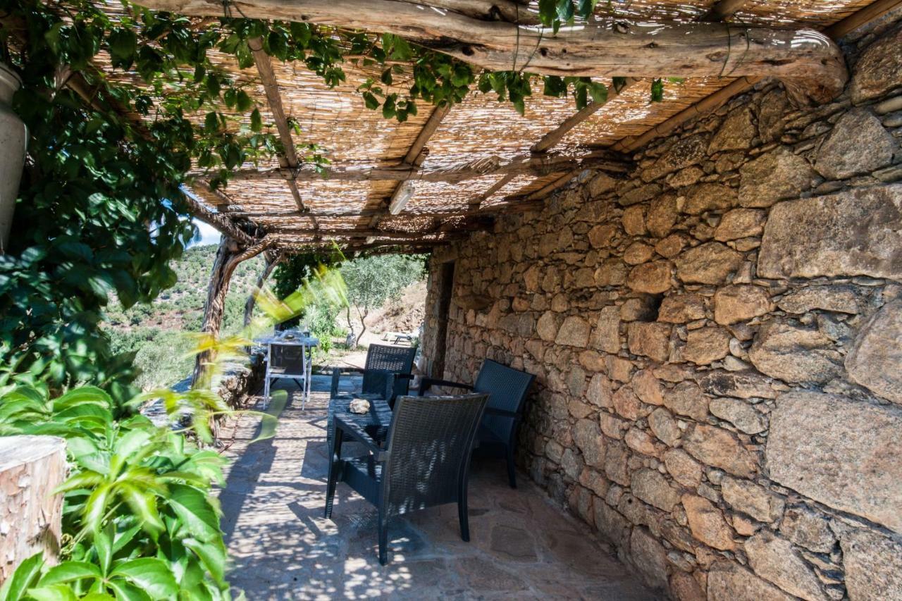 Les Bergeries "Le Figuier" Omessa Exterior foto